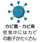 カビ菌・カビ臭
